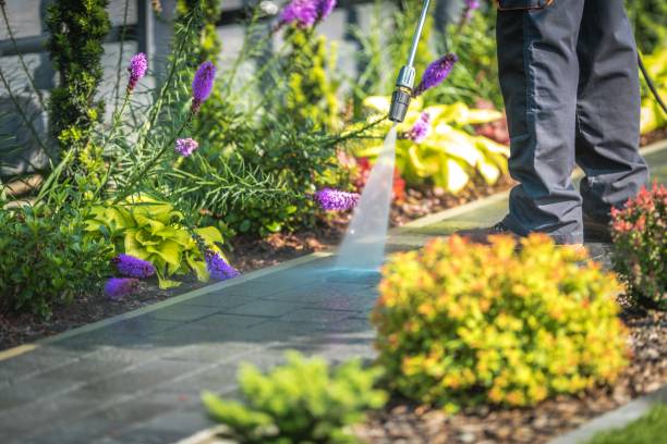Best Gutter Cleaning  in Gainesville, TX