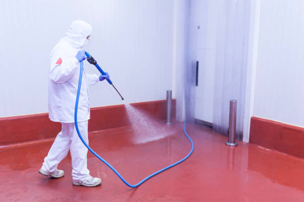 Best Driveway Pressure Washing  in Gainesville, TX